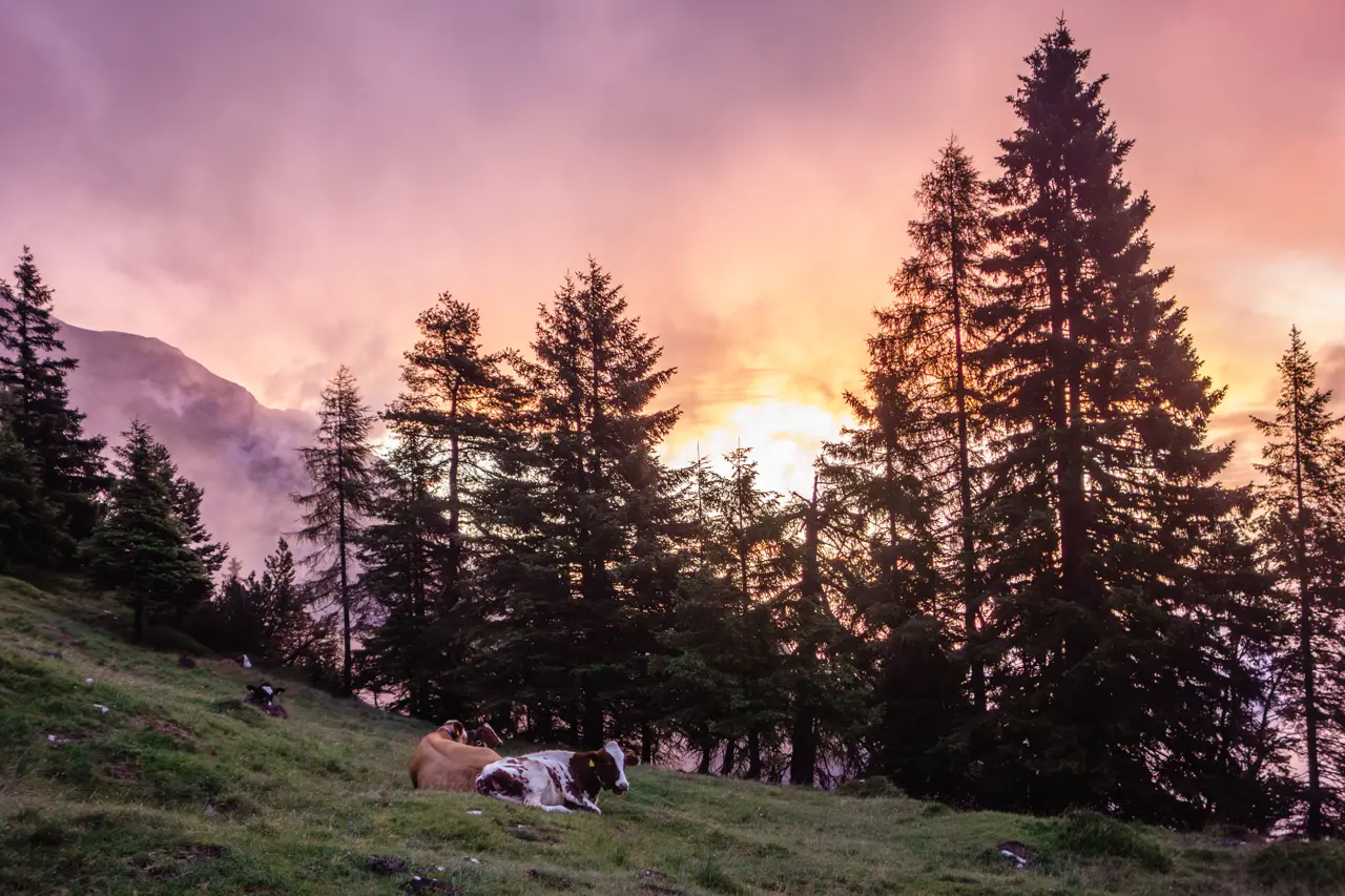 sonnenaufgangstour-astenau-best-of-1_02